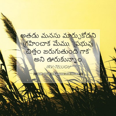 Picture 07 - అపొస్తలుల కార్యములు 21:14 TELIRV - అతడు మనసు - Bible Verse Picture