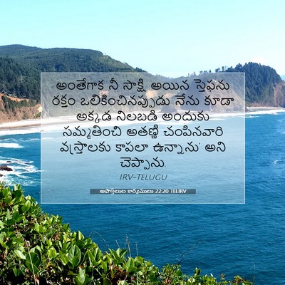 Picture 07 - అపొస్తలుల కార్యములు 22:20 TELIRV - అంతేగాక నీ సాక్షి - Bible Verse Picture