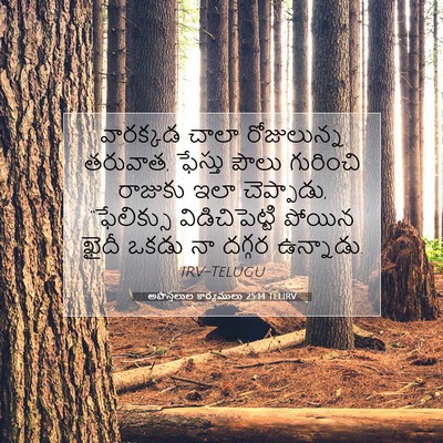 Picture 07 - అపొస్తలుల కార్యములు 25:14 TELIRV - వారక్కడ చాలా - Bible Verse Picture