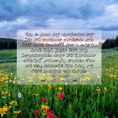 Picture 07 - అపొస్తలుల కార్యములు 26:17 TELIRV - నేను ఈ ప్రజల వల్లా - Bible Verse Picture