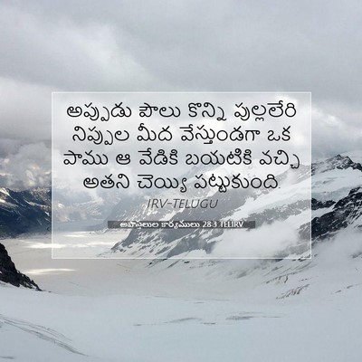 Picture 07 - అపొస్తలుల కార్యములు 28:3 TELIRV - అప్పుడు పౌలు - Bible Verse Picture