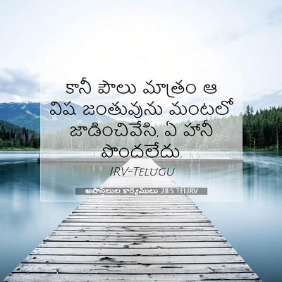 Picture 07 - అపొస్తలుల కార్యములు 28:5 TELIRV - కానీ పౌలు మాత్రం ఆ - Bible Verse Picture