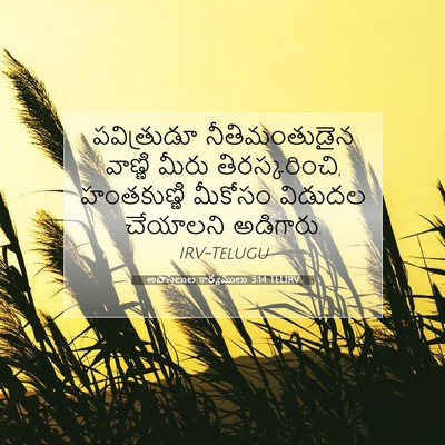 Picture 07 - అపొస్తలుల కార్యములు 3:14 TELIRV - పవిత్రుడూ - Bible Verse Picture