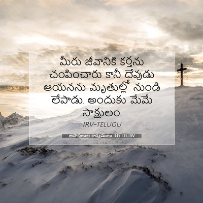 Picture 07 - అపొస్తలుల కార్యములు 3:15 TELIRV - మీరు జీవానికి - Bible Verse Picture
