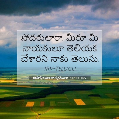 Picture 07 - అపొస్తలుల కార్యములు 3:17 TELIRV - సోదరులారా, మీరూ మీ - Bible Verse Picture