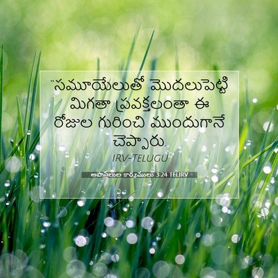 Picture 07 - అపొస్తలుల కార్యములు 3:24 TELIRV - “సమూయేలుతో - Bible Verse Picture