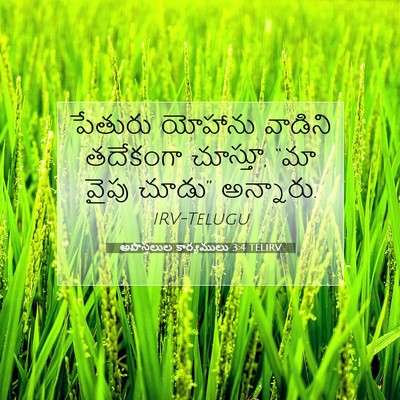 Picture 07 - అపొస్తలుల కార్యములు 3:4 TELIRV - పేతురు యోహాను - Bible Verse Picture