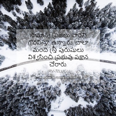 Picture 07 - అపొస్తలుల కార్యములు 5:14 TELIRV - సామాన్య ప్రజలు - Bible Verse Picture