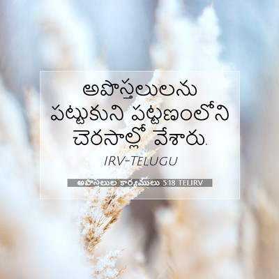 Picture 07 - అపొస్తలుల కార్యములు 5:18 TELIRV - అపొస్తలులను - Bible Verse Picture