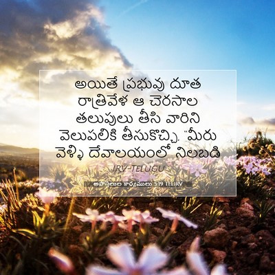 Picture 07 - అపొస్తలుల కార్యములు 5:19 TELIRV - అయితే ప్రభువు దూత - Bible Verse Picture