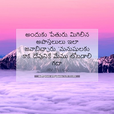 Picture 07 - అపొస్తలుల కార్యములు 5:29 TELIRV - అందుకు పేతురు, - Bible Verse Picture