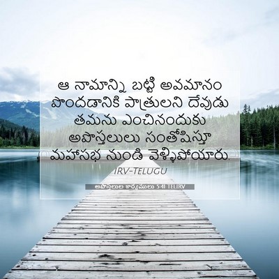 Picture 07 - అపొస్తలుల కార్యములు 5:41 TELIRV - ఆ నామాన్ని బట్టి - Bible Verse Picture