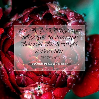 Picture 07 - అపొస్తలుల కార్యములు 7:48 TELIRV - “అయితే, ప్రవక్త - Bible Verse Picture