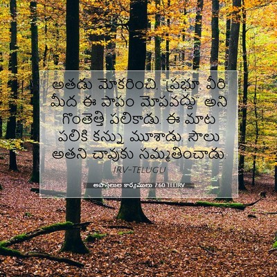 Picture 07 - అపొస్తలుల కార్యములు 7:60 TELIRV - అతడు మోకరించి, - Bible Verse Picture