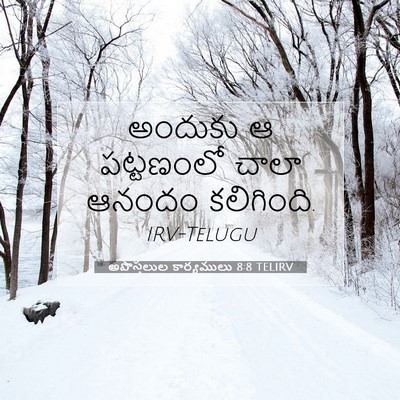 Picture 07 - అపొస్తలుల కార్యములు 8:8 TELIRV - అందుకు ఆ పట్టణంలో - Bible Verse Picture