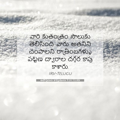 Picture 07 - అపొస్తలుల కార్యములు 9:24 TELIRV - వారి కుతంత్రం - Bible Verse Picture