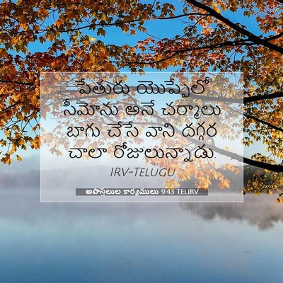 Picture 07 - అపొస్తలుల కార్యములు 9:43 TELIRV - పేతురు యొప్పేలో - Bible Verse Picture