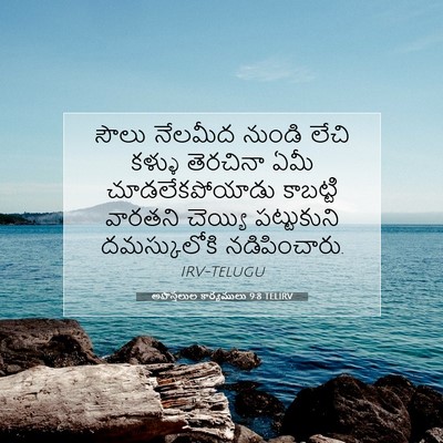 Picture 07 - అపొస్తలుల కార్యములు 9:8 TELIRV - సౌలు నేలమీద నుండి - Bible Verse Picture