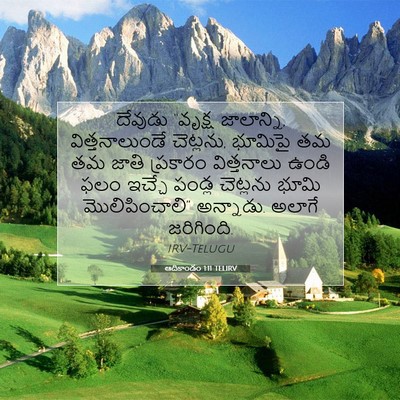 Picture 07 - ఆదికాండం 1:11 TELIRV - దేవుడు “వృక్ష - Bible Verse Picture