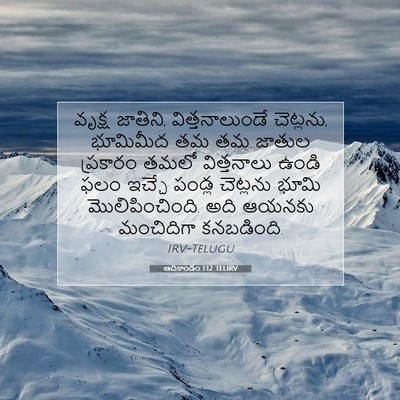 Picture 07 - ఆదికాండం 1:12 TELIRV - వృక్ష జాతిని, - Bible Verse Picture