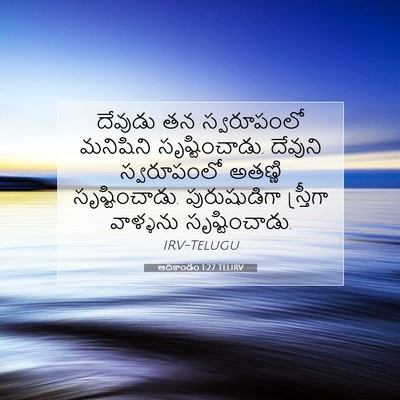Picture 07 - ఆదికాండం 1:27 TELIRV - దేవుడు తన - Bible Verse Picture