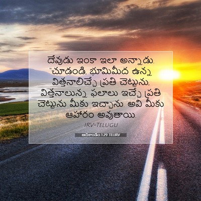 Picture 07 - ఆదికాండం 1:29 TELIRV - దేవుడు ఇంకా ఇలా - Bible Verse Picture