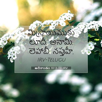 Picture 07 - ఆదికాండం 10:13 TELIRV - మిస్రాయిముకు - Bible Verse Picture