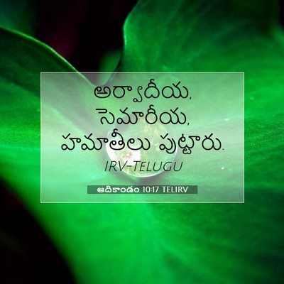 Picture 07 - ఆదికాండం 10:17 TELIRV - అర్వాదీయ, సెమారీయ, - Bible Verse Picture