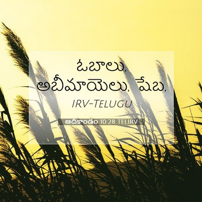 Picture 07 - ఆదికాండం 10:28 TELIRV - ఓబాలు, అబీమాయెలు, - Bible Verse Picture