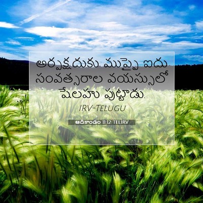 Picture 07 - ఆదికాండం 11:12 TELIRV - అర్పక్షదుకు - Bible Verse Picture