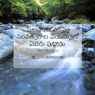 Picture 07 - ఆదికాండం 11:14 TELIRV - షేలహుకు ముప్ఫై - Bible Verse Picture