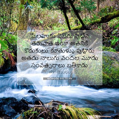 Picture 07 - ఆదికాండం 11:15 TELIRV - షేలహుకు ఏబెరు - Bible Verse Picture