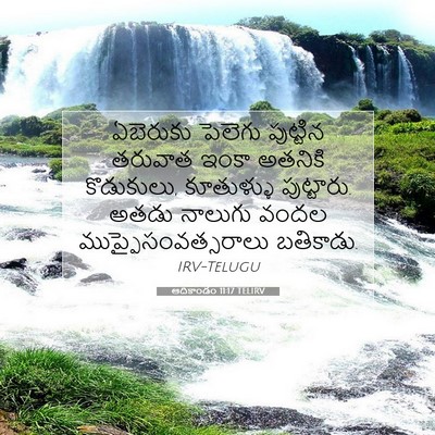 Picture 07 - ఆదికాండం 11:17 TELIRV - ఏబెరుకు పెలెగు - Bible Verse Picture