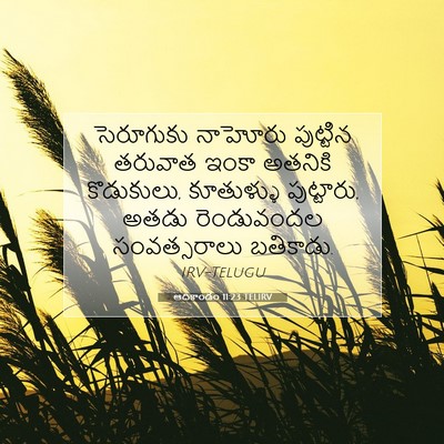 Picture 07 - ఆదికాండం 11:23 TELIRV - సెరూగుకు నాహోరు - Bible Verse Picture