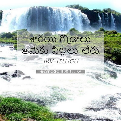 Picture 07 - ఆదికాండం 11:30 TELIRV - శారయి గొడ్రాలు. - Bible Verse Picture