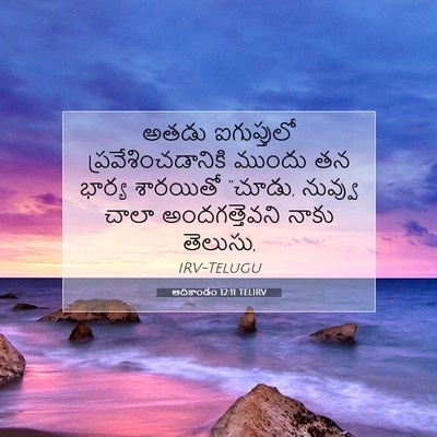 Picture 07 - ఆదికాండం 12:11 TELIRV - అతడు ఐగుప్తులో - Bible Verse Picture