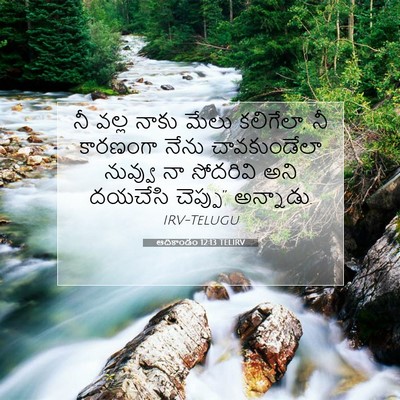 Picture 07 - ఆదికాండం 12:13 TELIRV - నీ వల్ల నాకు మేలు - Bible Verse Picture
