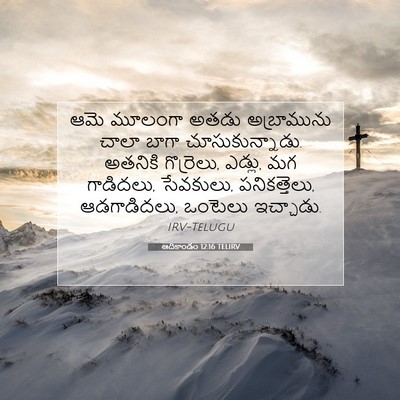 Picture 07 - ఆదికాండం 12:16 TELIRV - ఆమె మూలంగా అతడు - Bible Verse Picture