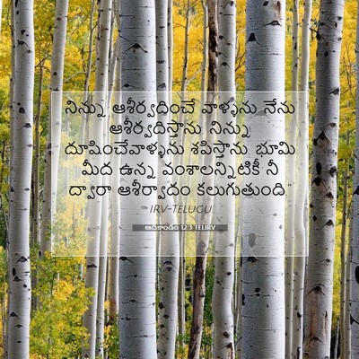 Picture 07 - ఆదికాండం 12:3 TELIRV - నిన్ను - Bible Verse Picture