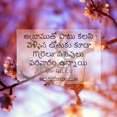 Picture 07 - ఆదికాండం 13:5 TELIRV - అబ్రాముతో పాటు - Bible Verse Picture