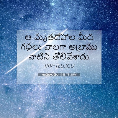 Picture 07 - ఆదికాండం 15:11 TELIRV - ఆ మృతదేహాల మీద - Bible Verse Picture