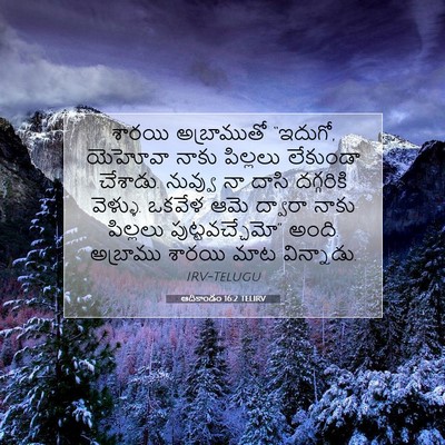 Picture 07 - ఆదికాండం 16:2 TELIRV - శారయి అబ్రాముతో - Bible Verse Picture