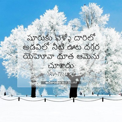Picture 07 - ఆదికాండం 16:7 TELIRV - షూరుకు వెళ్ళే - Bible Verse Picture