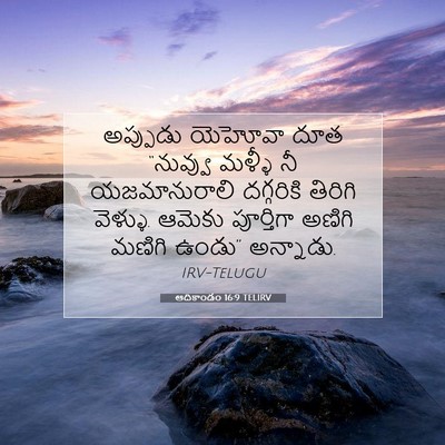 Picture 07 - ఆదికాండం 16:9 TELIRV - అప్పుడు యెహోవా - Bible Verse Picture