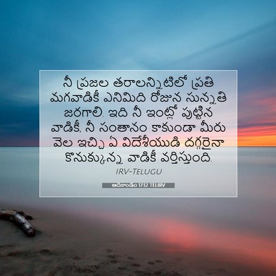 Picture 07 - ఆదికాండం 17:12 TELIRV - నీ ప్రజల - Bible Verse Picture