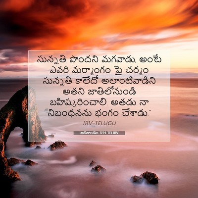 Picture 07 - ఆదికాండం 17:14 TELIRV - సున్నతి పొందని - Bible Verse Picture
