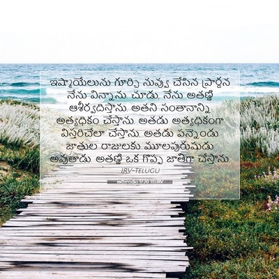 Picture 07 - ఆదికాండం 17:20 TELIRV - ఇష్మాయేలును - Bible Verse Picture