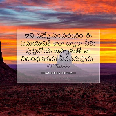 Picture 07 - ఆదికాండం 17:21 TELIRV - కాని వచ్చే - Bible Verse Picture