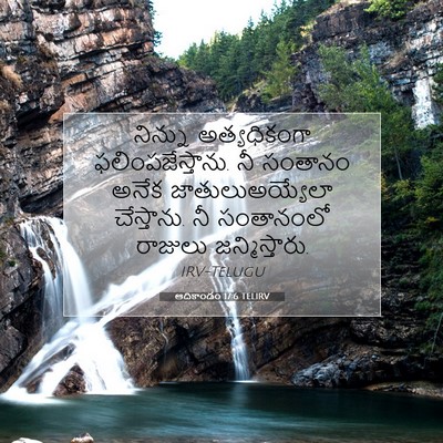 Picture 07 - ఆదికాండం 17:6 TELIRV - నిన్ను అత్యధికంగా - Bible Verse Picture