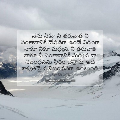 Picture 07 - ఆదికాండం 17:7 TELIRV - నేను నీకూ నీ - Bible Verse Picture